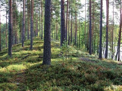 Grundvattnet är vårt dricksvatten Grundvatten bildas då regn- och smältvatten infiltreras i jordlagren. Det är vatten som fyller de öppna porerna i jordmånen och sprickor i berggrunden.