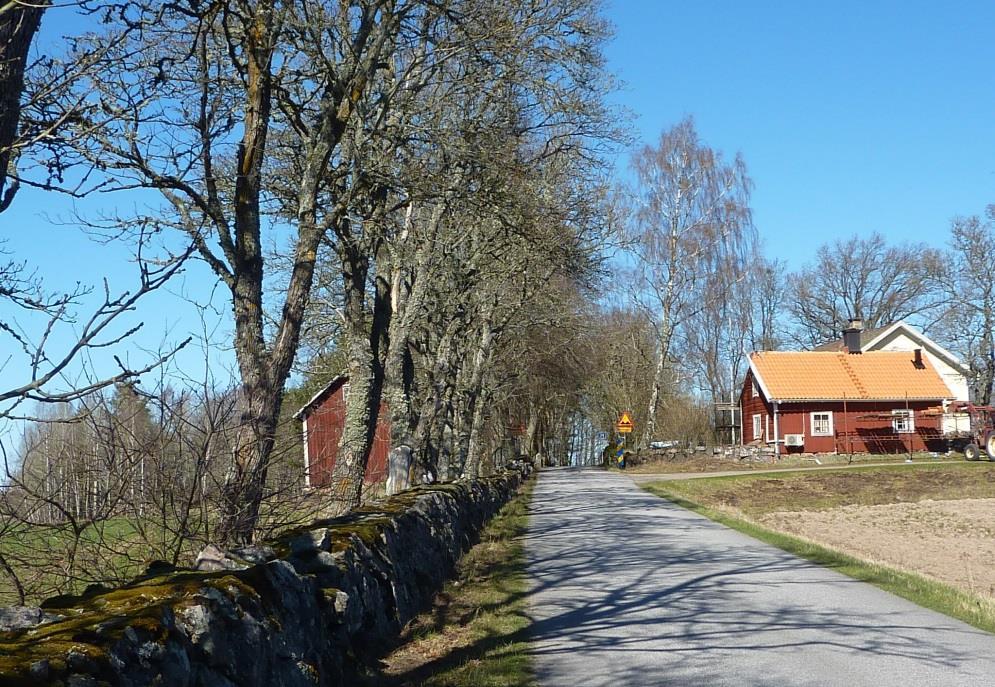 Gårdsmiljö vid Rörvägen 6. Hassleslätten Hassleslätten och breder ut sig på ömse sidor om Hassle.