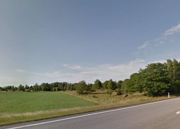 även blandskog. På vissa ställen bryts skogen av större eller mindre mossområden.