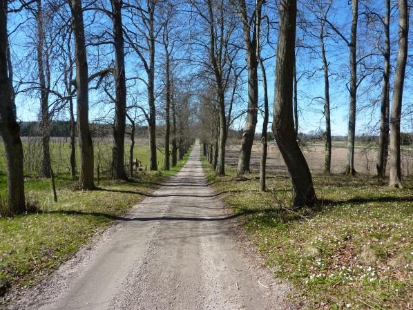 Äldre barrblandskog Yngre granskog utmed E20 Tätort eller sammanhållen bebyggelse Mariestad