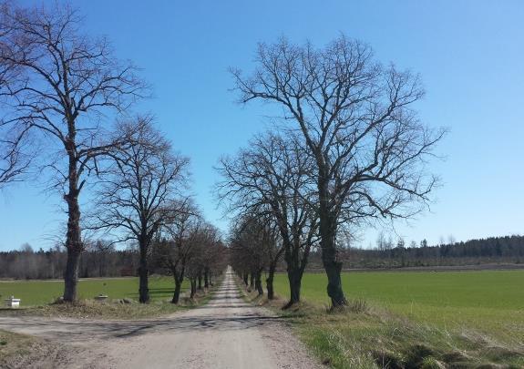 I övrigt finns det en tätort inom utredningsområdet, Ullervad med ca 1000invånare, ca 3 km söder