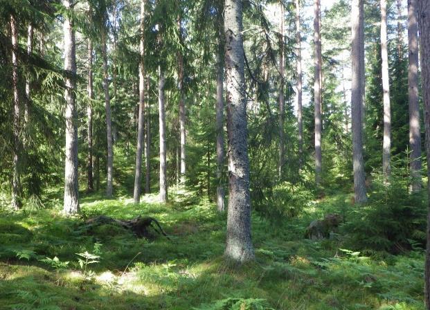 Karaktärselement Viktiga karaktärselement i området är t ex vattendrag med vegetationsbård av