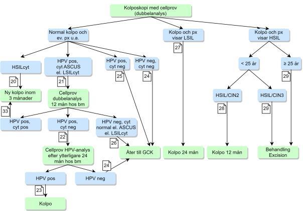 Flödesschema 4: Cytologiska analysen