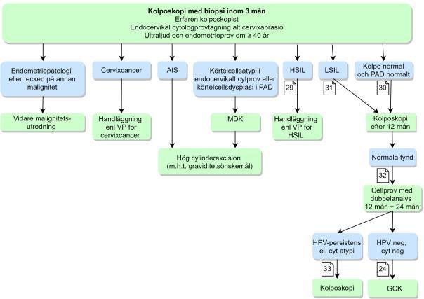 Flödesschema 7: Cytologiska analysen visar