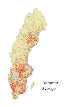 Fysisk påverkan stor orsak till att