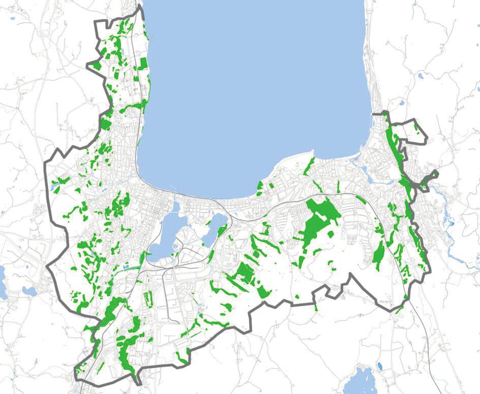bevaras och ges möjlighet att sprida sig till nya lokaler. Det kan ske genom åtgärder som t ex gynna död ved, bevara gamla träd och utveckla flerskiktade bestånd.