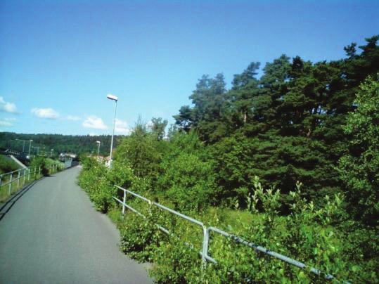 Trappstegsformade bryn ska skapas där naturligt lågväxande och bärande buskarter som en, slån, hagtorn och nyponrosor (ej vresros) gynnas eller planteras.