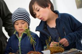 UPPTÄCK OCH LÄR! i Linnéträdgården Forskare i växtbiologi vid Uppsala universitet visar och berättar om pollen och fossil i experimenttältet. Titta i sterolupp och fotografera!
