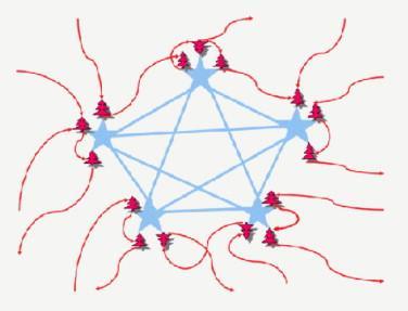 Each astrocyte participates in a tripartite synapse, being activated by the pre-synaptic neuron.