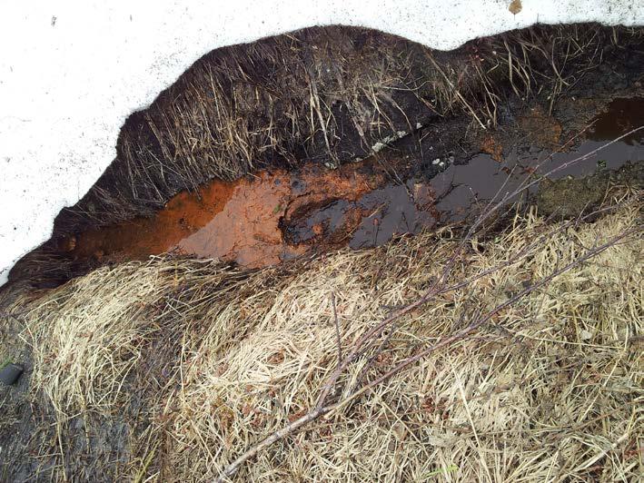 Storskalig stabilisering av sulfidjordar Envix