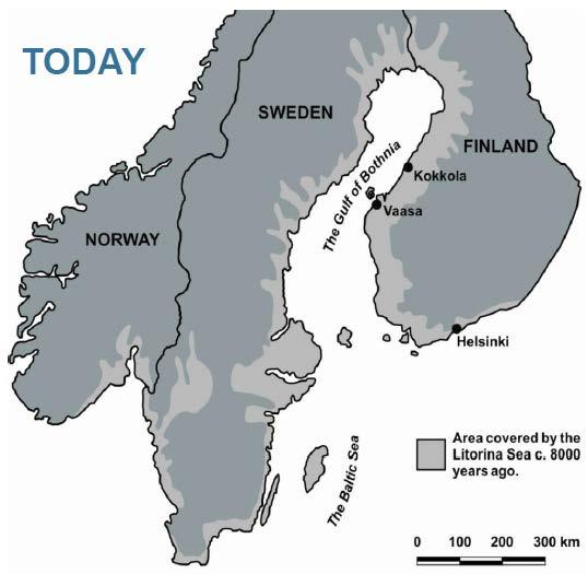 Ursprung och utbredning av sulfidjordar Sulfidjord utgörs av postglaciala sediment som bildats under högsta