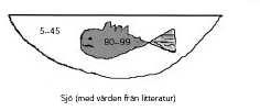 Åtgärder som ökar utlakningen av humus ökar utlakningen av kvicksilver och metylkvicksilver.