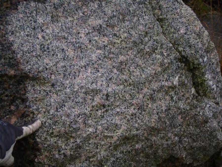 2 (14) 2 Berggrundsgeologi 2.1 Bergarter Berggrunden består av en fin- till medelkornig grå till rödgrå granit med inslag av sliror/gångar av pegmatit.