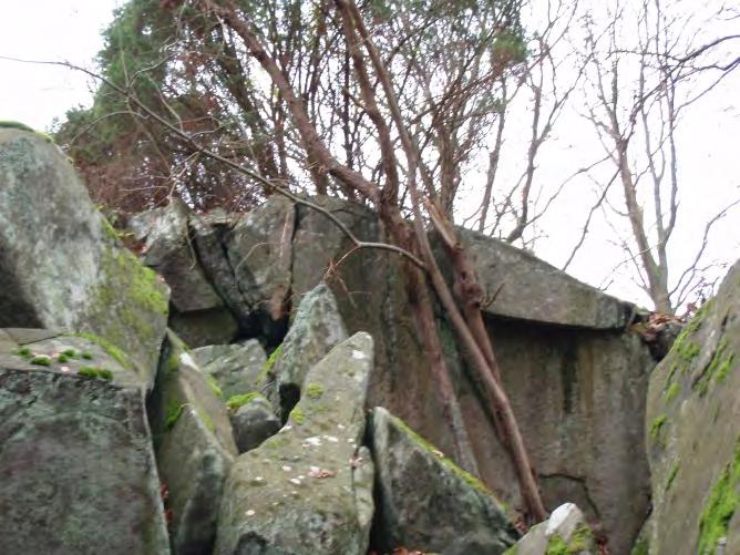 en del lösa block både i bergslänten och i jordslänten nedanför. Foto 12. Berg- och jordslänt med lösa block i område 10.