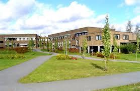 Hedängskolans plan mot diskriminering och kränkande behandling Verksamhetsformer som omfattas av planen: Grundskola Läsår: 2017/2018 Kontaktuppgifter: Hedängskolan 7-9 Rektor: Vallbyvägen 33 Birgitta