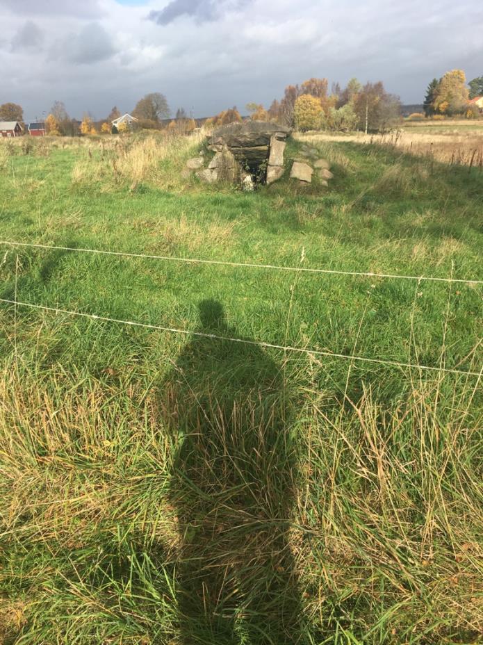 Naturvärdesobjekt 17 Äng och betesmark Obestämd torr-frisk hed/gräsmark nedanför trädgränsen Öppen betad mark är gynnsamt för fåglar och insekter. Små höjder och enstaka solexponerade block.