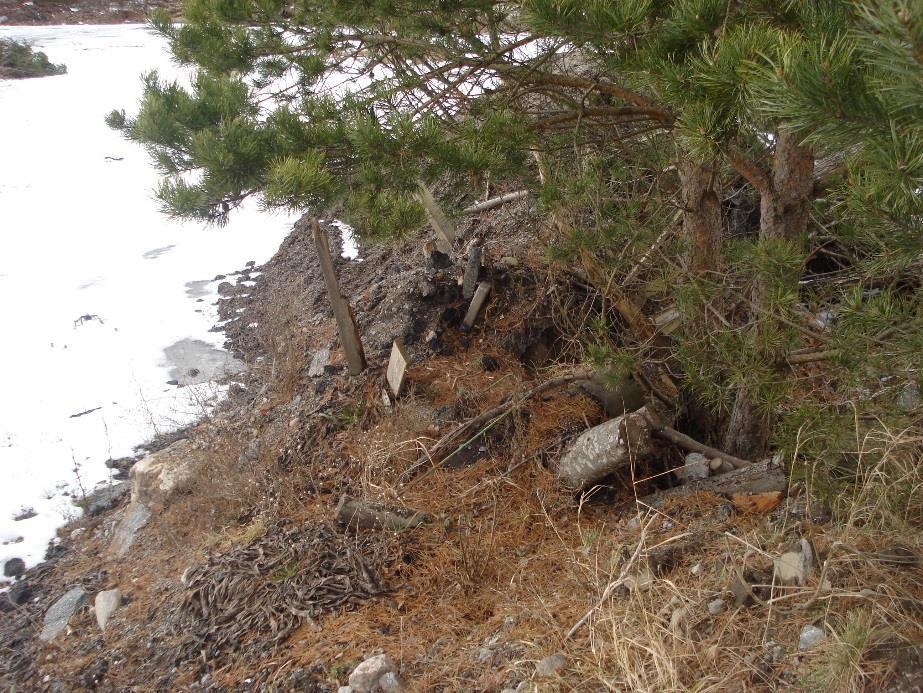 PM Figur 5. Foto från den s.k. rishögen. På bilden syns asfalt, betongbitar och träplankor. Fotot är taget vid platsbesök på Sköndal 1:1 2016-02-22. 3.