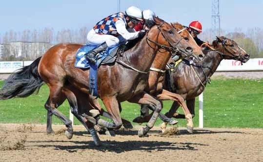 Pramms Memorial (L) Spitzbergen vinner före Red Hot Chili, Victor Kalejs och Brownie. Ett mycket högklassigt startfält tävlar om totalt 1,2 miljoner kronor, varav 700.