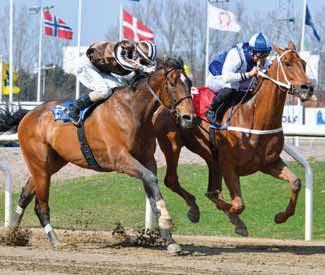 Endast en gång har hon lämnat Jägersro, då blev hon oplacerad, men på Jägersro är hon svår att besegra. I genrepet tog hon hem Scania Mile på bästa sätt och formen är i zenit.