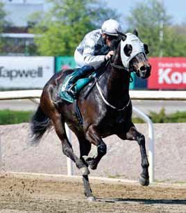 Lanwades Stud Jägersro Sprint (L) Land s End Trickbag Texter om storloppen av Fredrik Otter De norska gästerna är 3 Staring At The Sea, tränad av Wido Neuroth och 6 Tinnitus tränad av Niels Petersen.