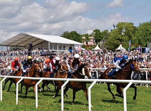 Far: Helmet Mor: Sensible Morfar: Almutawakel Uppfödare: Rogers P D Tränare: Francisco Castro, Jägersro Ägare: Mac Racing,Fam Ragnarsson,N O Bernerup Total: 3 2-0-0 18: 1 1-0-0 50.000 17: 2 1-0-0 66.