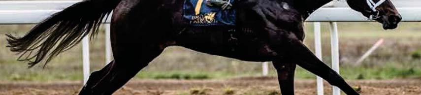 winning the Listed Lanwades