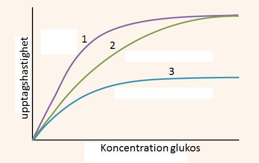 Fråga 22 Glukos tas upp i vävnaderna med hjälp av glukostransportörer. Röda blodkroppar från två personer med minskad glukostolerans - försämrat upptag av glukos i cellerna - undersöktes.