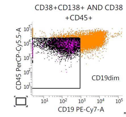 Patient 1 MYELOM MRD-POSITIV Gejtat på plasmaceller (+CD138high+) Tube 1 CD56 CD56+ CD81