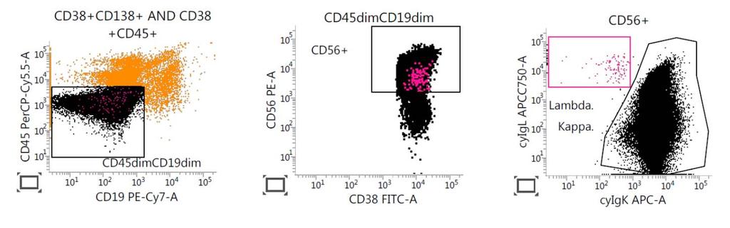 Patient 2 MYELOM MRD-POSITIV Gejtat på plasmaceller (+CD138high+) Tube 1 dim CD19dim CD56