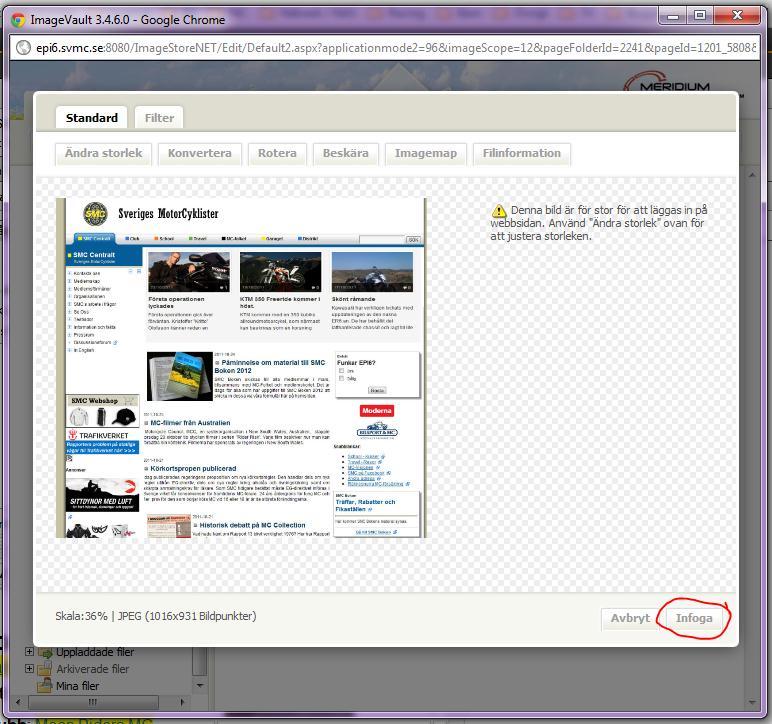 Klicka på Infoga om du är nöjd med bilden. Annars justera enligt önskemål.