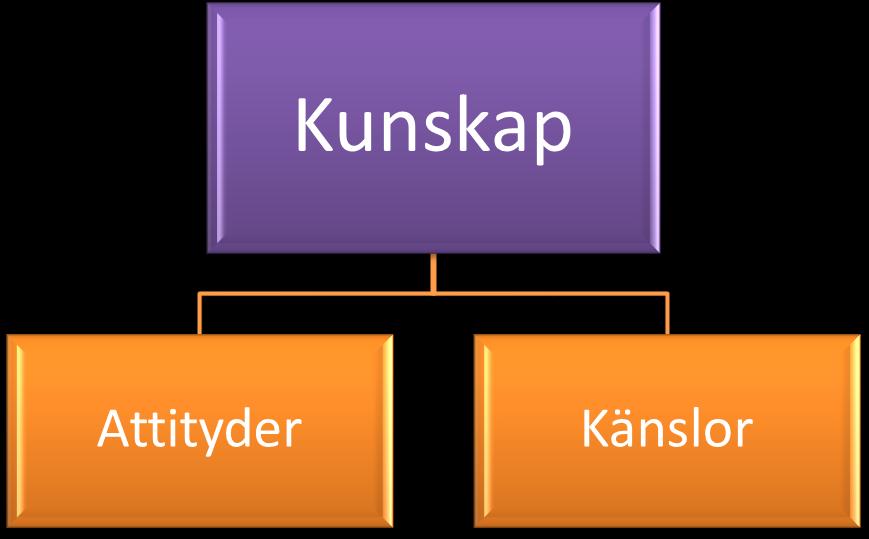 u Figur 1. Översikt över studiens resultat. En huvudkategori, kunskap, med två subkategorier, attityder och känslor.