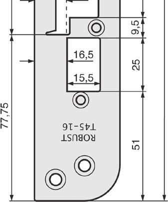 T5-19 