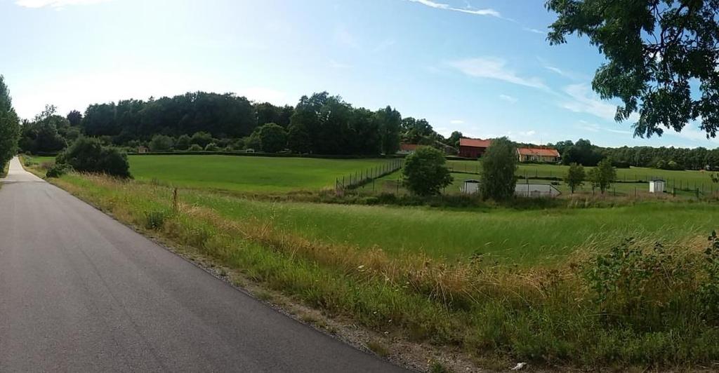 bilvägen. Figur 8 Vy över del av lågpunktsområdet vid Afvelsgärde.