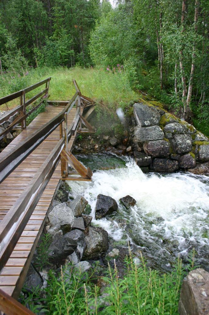 Dessa två dammar vill Leif Ögren därför behålla i bra skick så att de skall kunna fortsätta fungera som vandringshinder för att förhindra att det kommer in oönskade fiskarter i vattensystemet.