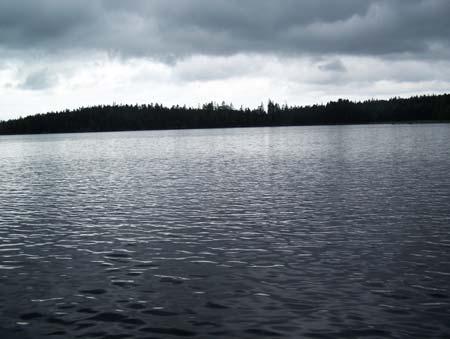 Vattenförekomst Kalkning Nationellt särskilt värdefull Natura 2000 Vågsjön Vågsjön ligger i Köpingsåns vattensystem. Sjön är belägen 85 m ö.h. x661998; y150929, ytan är ca 349 ha.