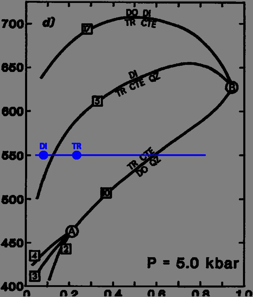 tryckförhållanden som bedömts existera under regionalmetamorfosen (Vivallo 1984a) visar att både tremolit och diopsid kan vara stabila vid samma temperatur och tryck om partialtrycket för CO 2
