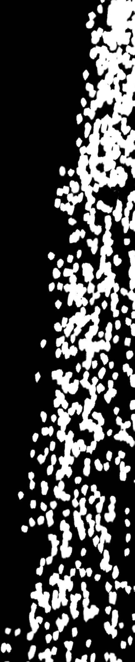 Allt handlar om vilken Edition du väljer. GRANULE FLEXI BYGGER PÅ DEN INNOVATIVA TEKNIKEN GRANULE TECHNOLOGY SOM ELIMINERAR BEHOVET AV FÖRDISK. MINDRE KEMIKALIER.