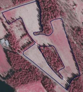 A B Bild 7. Basskiftet har två jordbruksskiften. Gränsen ligger vid skogsholmen.