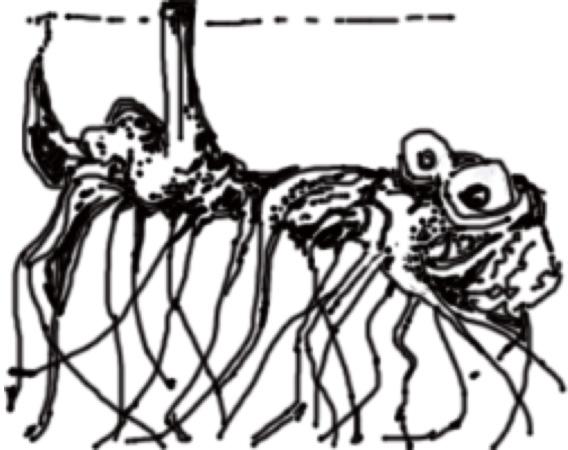 Poesin däremellan estetiska lärprocesser i praktik och teori 187 som kreativitet, reflektion, experimenterande, undersökande, gränsöverskridande och fantiserande.