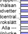 den senaste