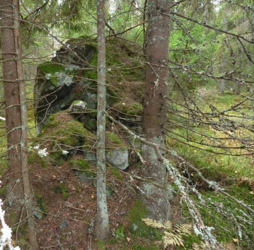 På häradskartan från 1868-77 omfattas området av skogsmark med barrskogsbeteckning.