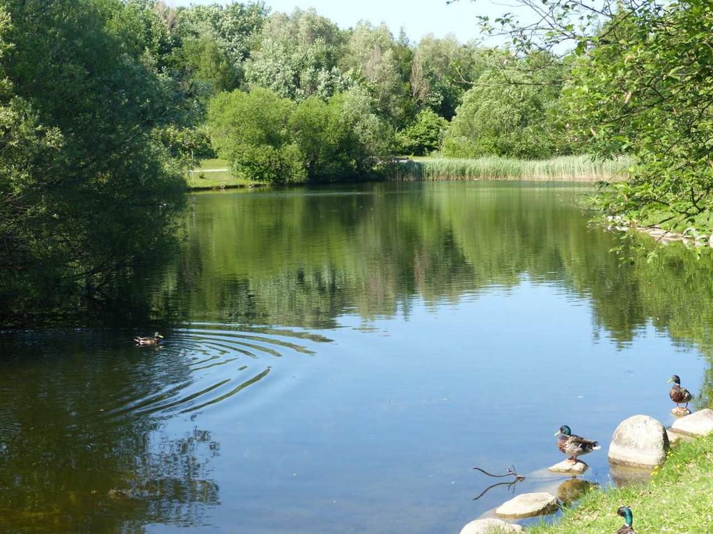 Naturvårdskonsult Gerell Inventering av fladdermöss inom Malmö