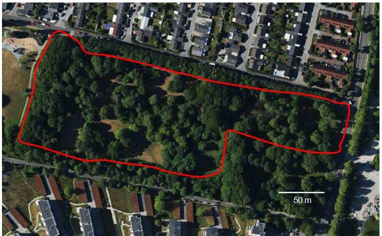 Hammars park Beskrivning Inventeringen 2016, den 16 och 29 juni, utfördes utefter en slinga som berörde parkens viktigare biotoper (fig. 25).