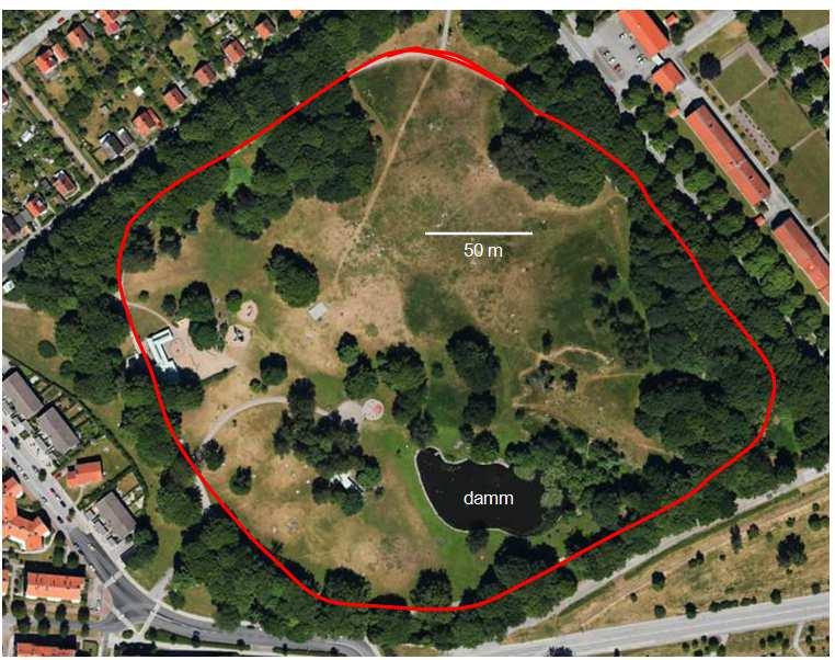 Resultat Årets inventeringar i Pildammsparken visade på förekomst av vattenfladdermus, trollpipistrell och dvärgpipistrell (tab. 10).