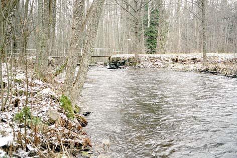 Em406. Gårdvedaån, Västra Fridhem Datum: 2002-11-21 Flodområde: Emån Koordinat: 6355830/1487290 N F Provyta Fototriktning Gångbro Väg 10-20m uppströms bron.