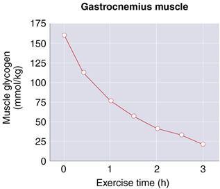 cellerna som ATP Kolhydrater, fett och protein Vilken enegikälla som används beror på tillgång