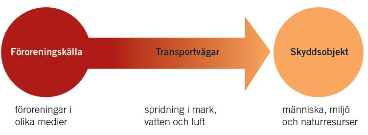 RAPPORT Figur 8. Utdrag ur Naturvårdsverkets rapport 5977 "Riskbedömning av förorenade områden" där bilden illustrerar föroreningskällans transportvägar till skyddsobjektet (människa och miljö).
