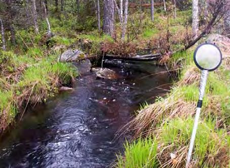 LOKALBESKRIVNING FÖR VS 232 TREHÖRNINGSBÄCKEN BOTTENFAUNAUNDERSÖKNING 2010-05 - 25 Län: Västmanlands län Kommun: Fagersta Koordinater: x 6642841 y 1504640 Provtagare: Margareta Setterberg Metod: