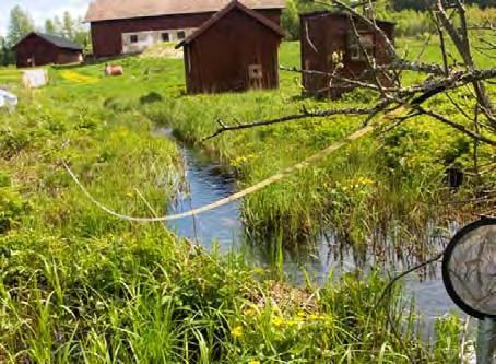 LOKALBESKRIVNING FÖR VS 2130 DAMMSJÖBÄCKEN BOTTENFAUNAUNDERSÖKNING 2010-05 - 26 Län: Västmanlands län Kommun: Fagersta Koordinater: x 6644721 y 1494698 Provtagare: Margareta Setterberg Metod: