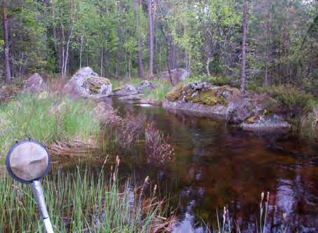LOKALBESKRIVNING FÖR VS 2136 VÅGSJÖBÄCKEN BOTTENFAUNAUNDERSÖKNING 2010-05 - 27 Län: Västmanlands län Kommun: Skinnskatteberg Koordinater: x 6619744 y 1508869 Provtagare: Margareta Setterberg Metod: